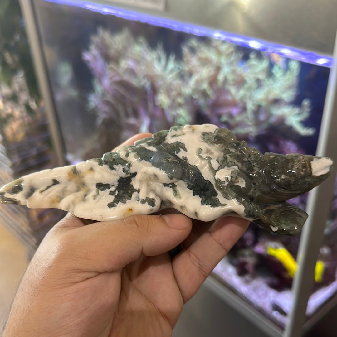 Moss Agate Reptile