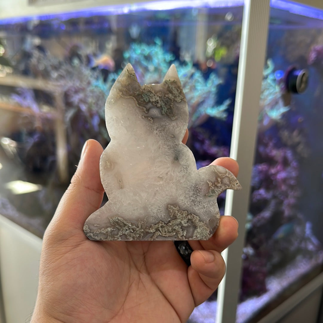 Moss Agate Cats