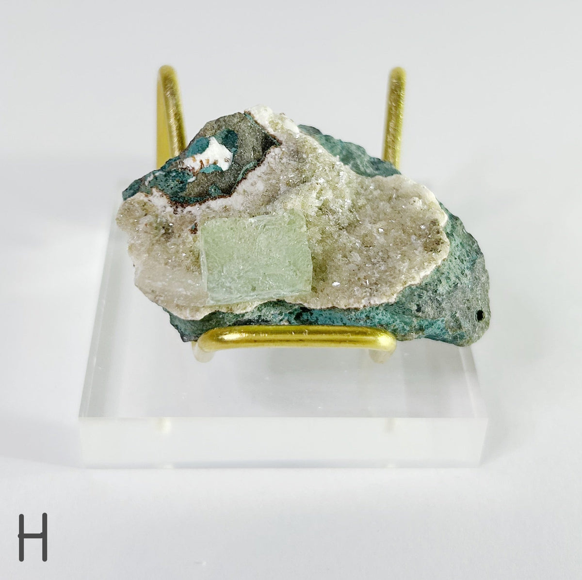Zeolites - Choose Your Own SHARED SKU