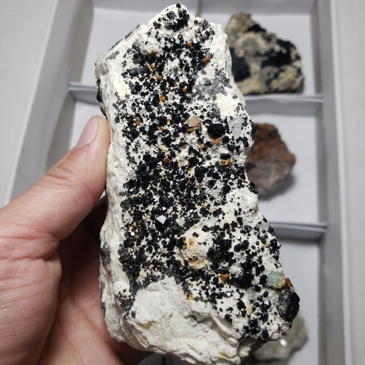 Mixed Minerals x 6 - Choose Your Own