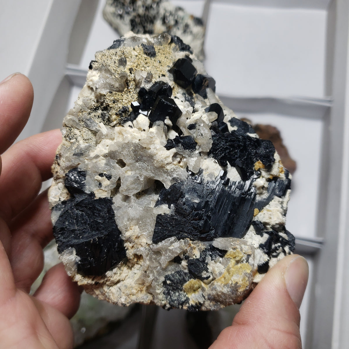 Mixed Minerals x 6 - Choose Your Own