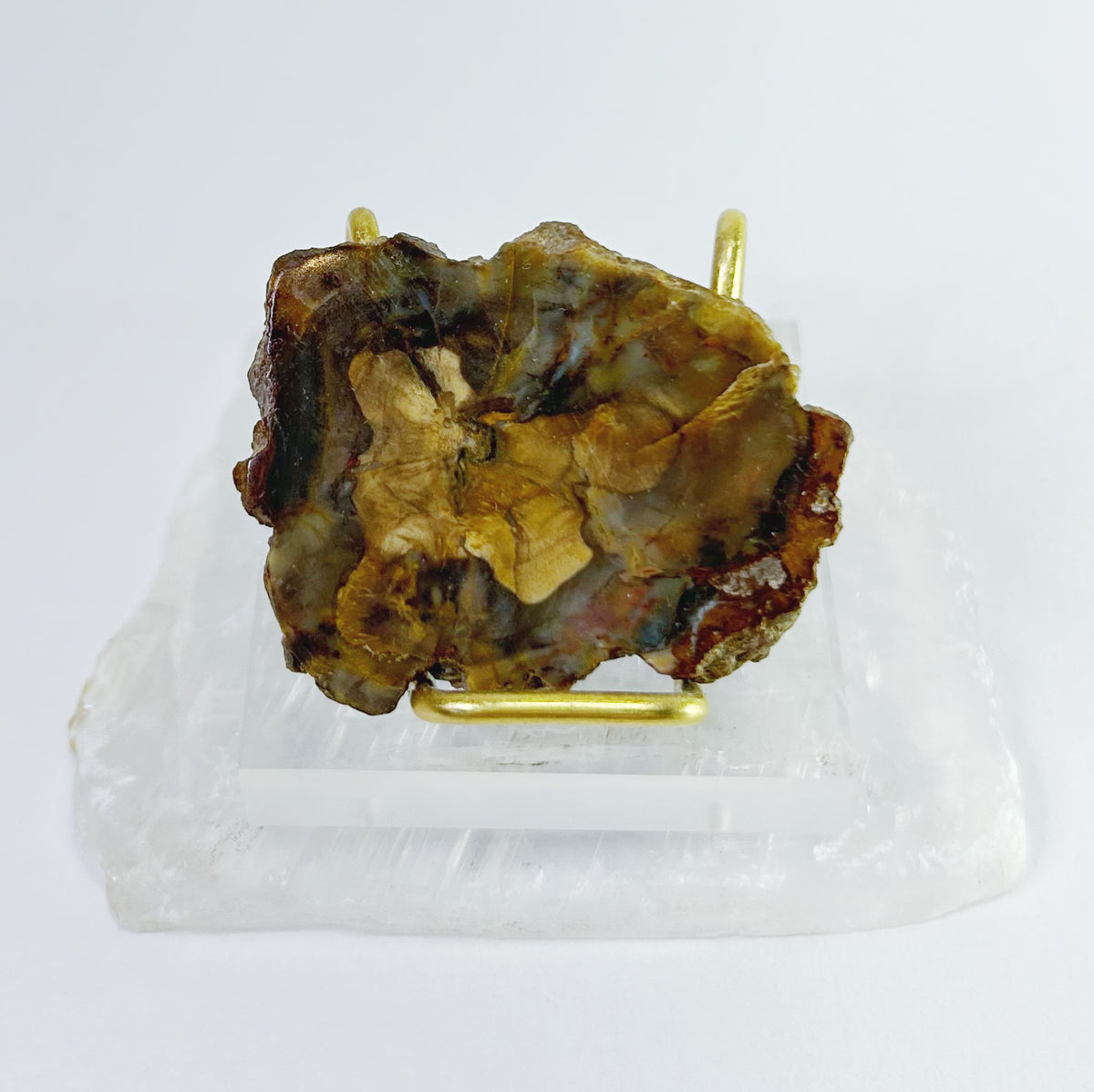 Petrified Wood Slabs