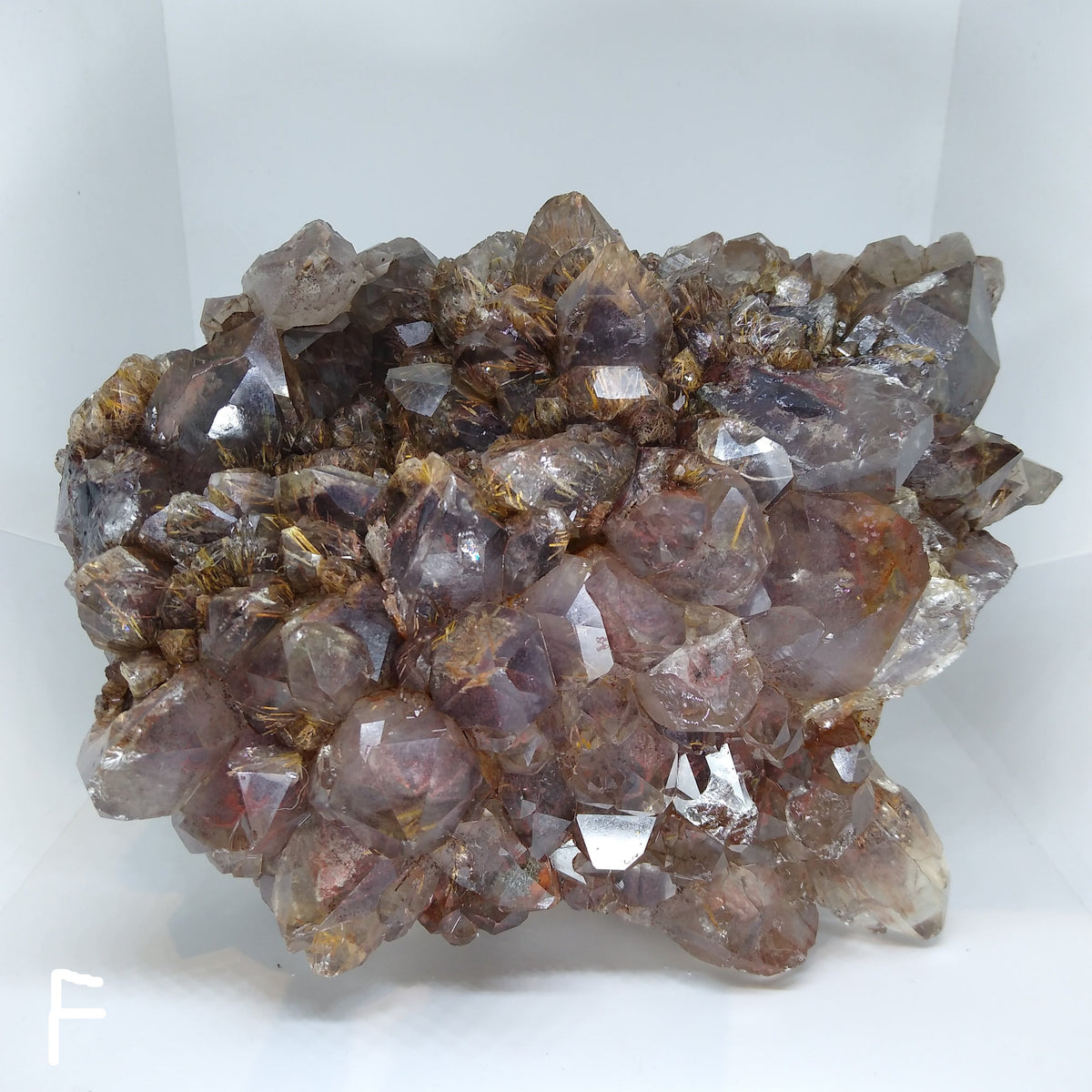 Asylum Quartz Clusters - Choose Your Own