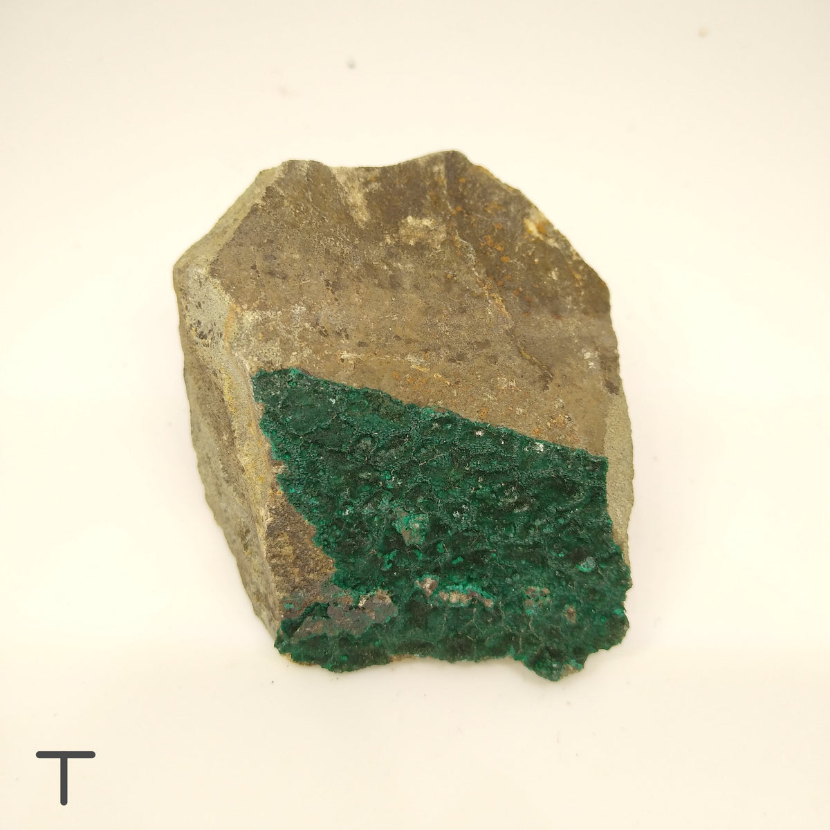 Rough Chrysocolla - Choose Your Own