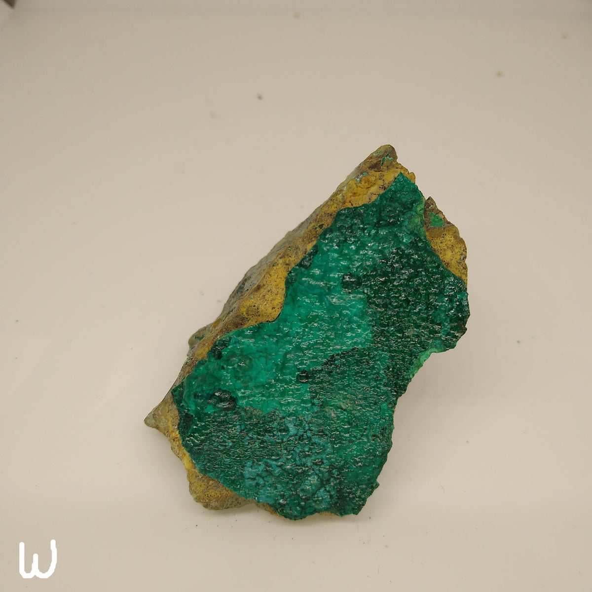 Rough Chrysocolla - Choose Your Own