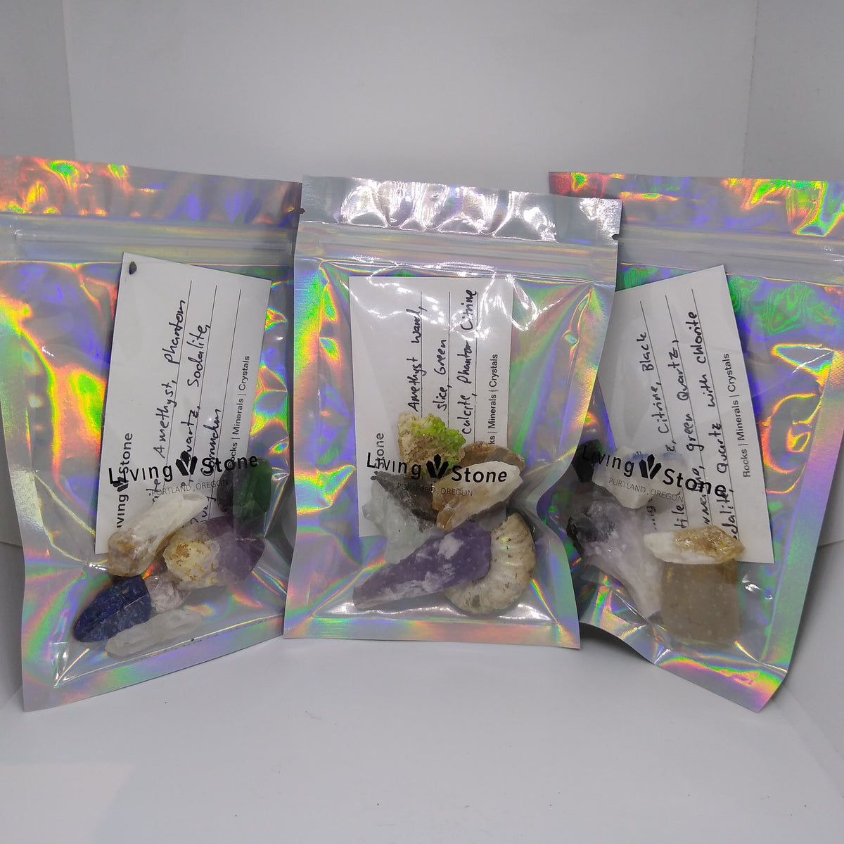 Starter Mixed Mineral and Fossil Mystery Bag