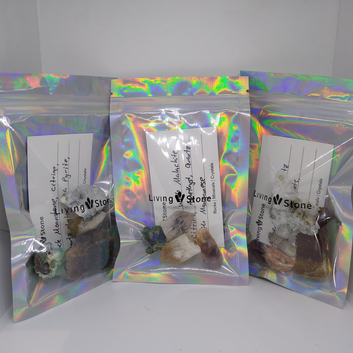 Starter Mixed Mineral and Fossil Mystery Bag