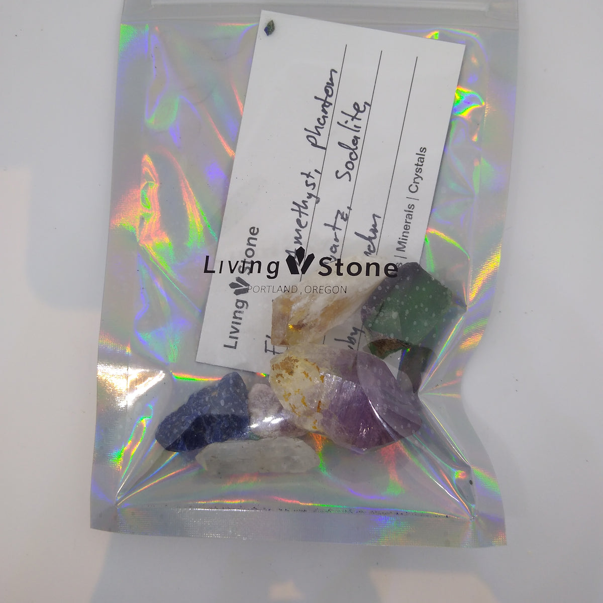 Starter Mixed Mineral and Fossil Mystery Bag