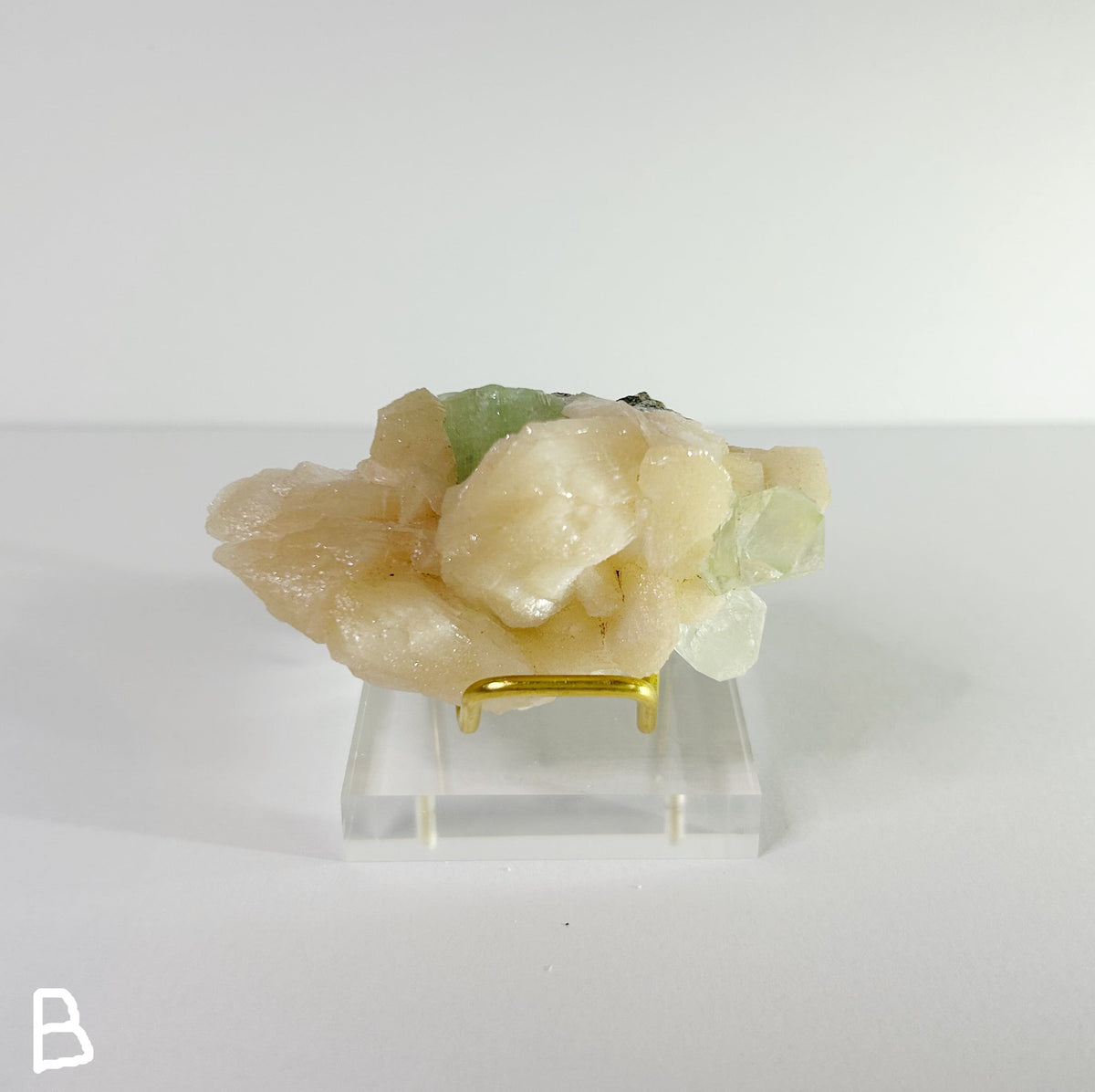 Zeolites - Choose Your Own SHARED SKU
