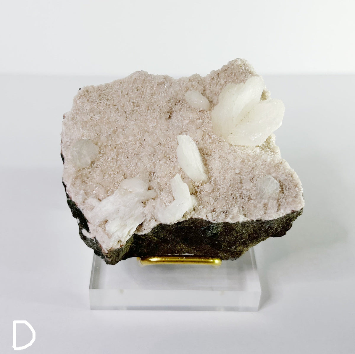Zeolites - Choose Your Own SHARED SKU
