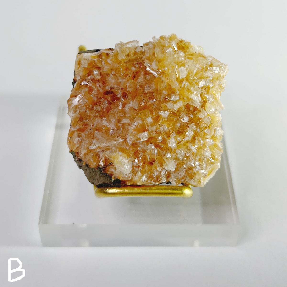 Zeolites - Choose Your Own SHARED SKU