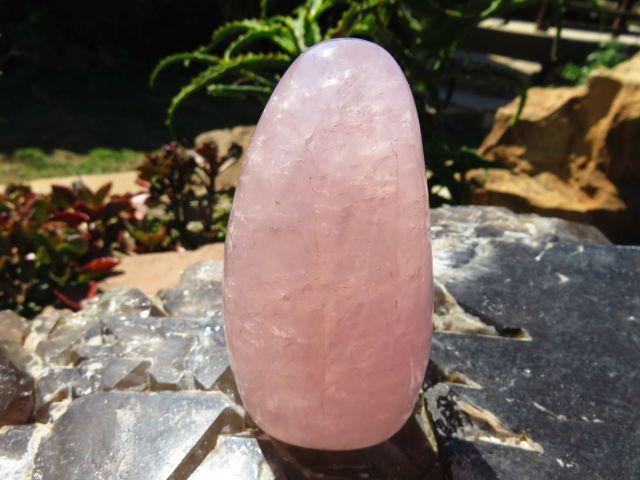 Polished Rose Quartz Standing Freeforms x 3 from Madagascar
