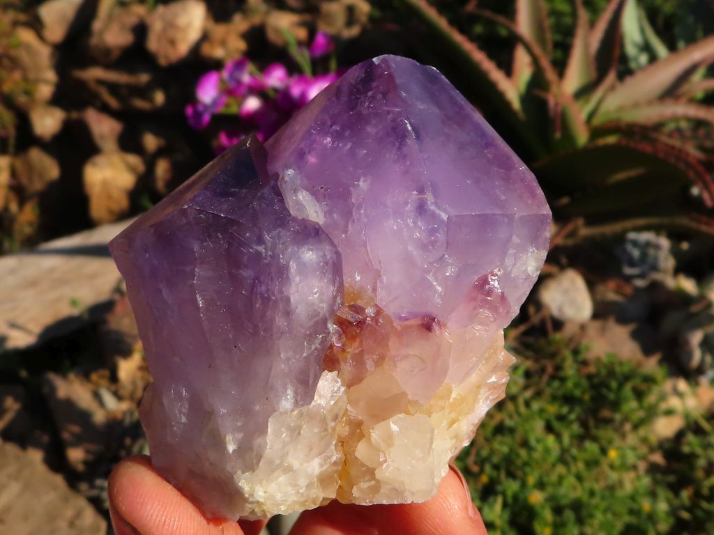 Mixed Minerals - Choose Your Own