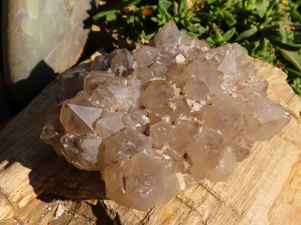 Mixed Minerals - Choose Your Own
