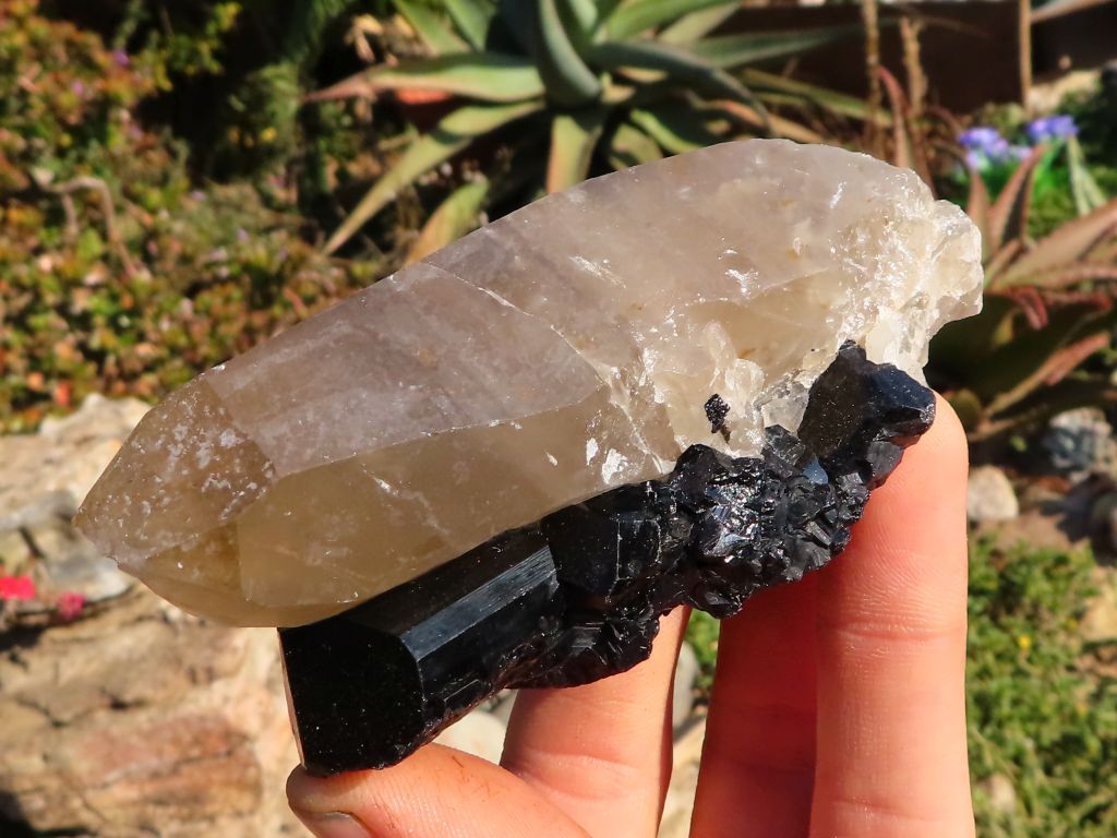 Mixed Minerals - Choose Your Own