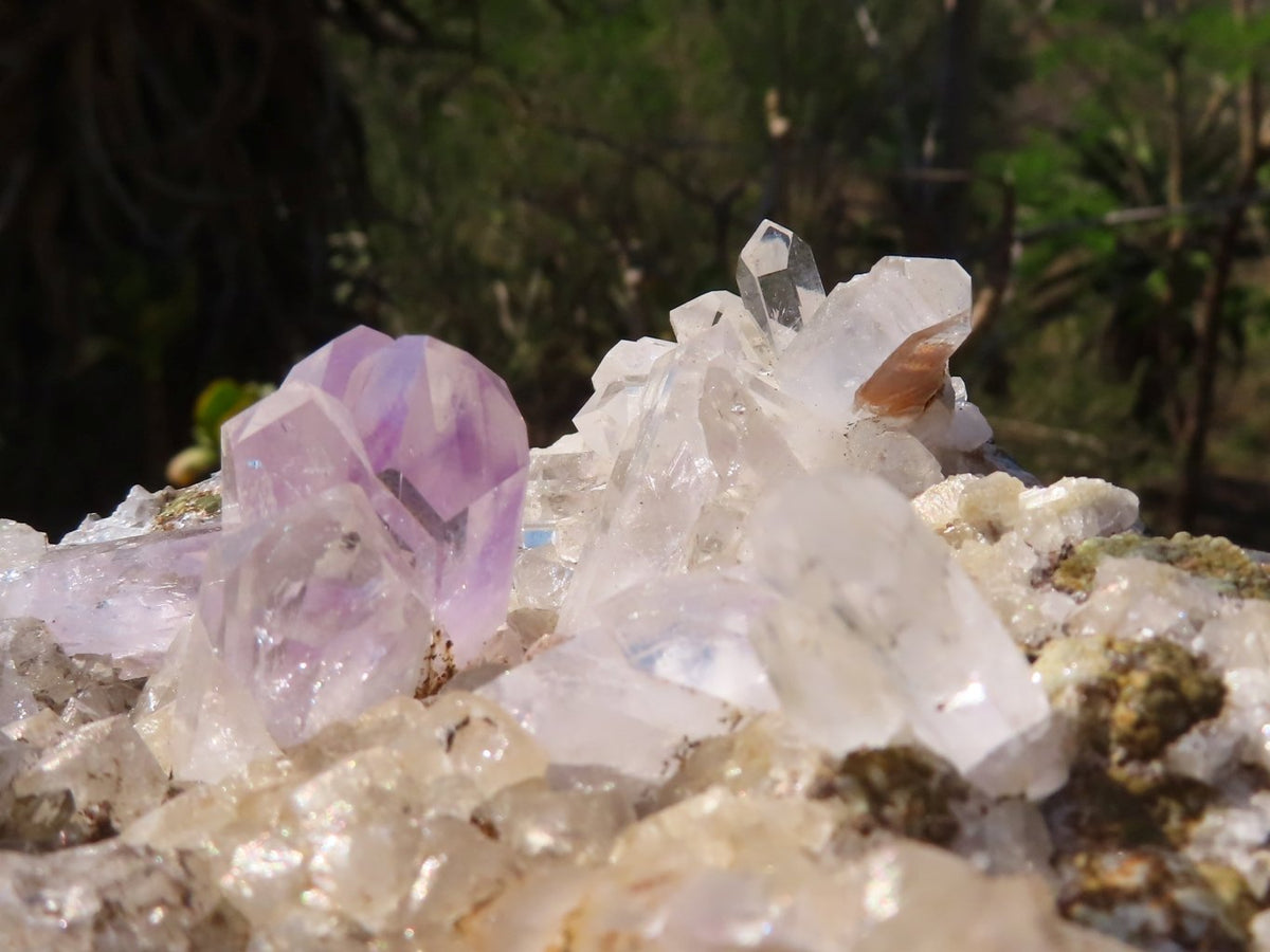 Natural Brandberg Quartz Cluster from Namibia