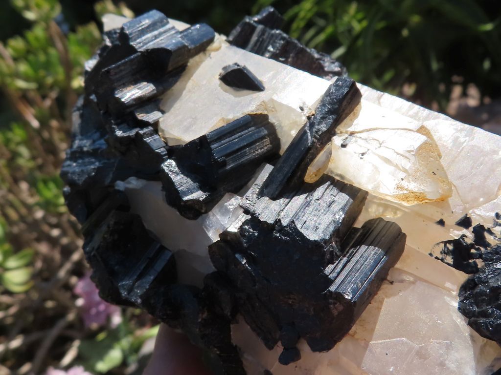 Mixed Minerals x 6 - Choose Your Own