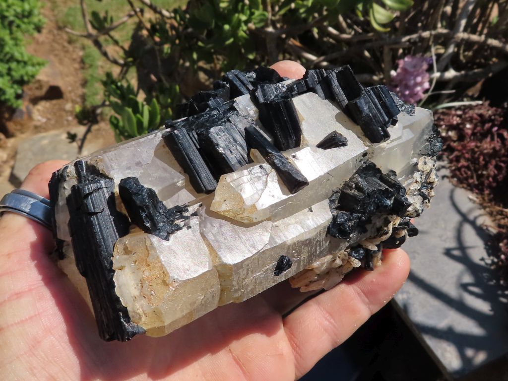 Mixed Minerals x 6 - Choose Your Own