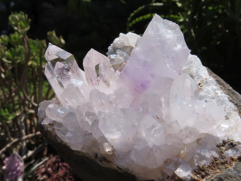 Mixed Minerals x 6 - Choose Your Own