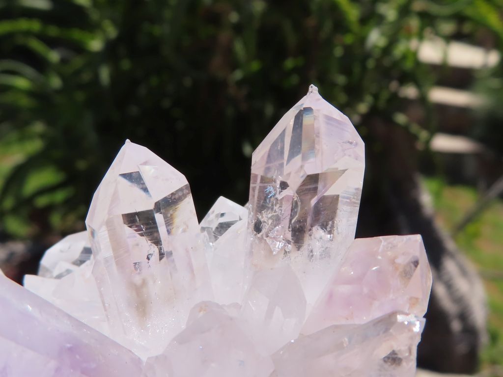 Mixed Minerals x 6 - Choose Your Own
