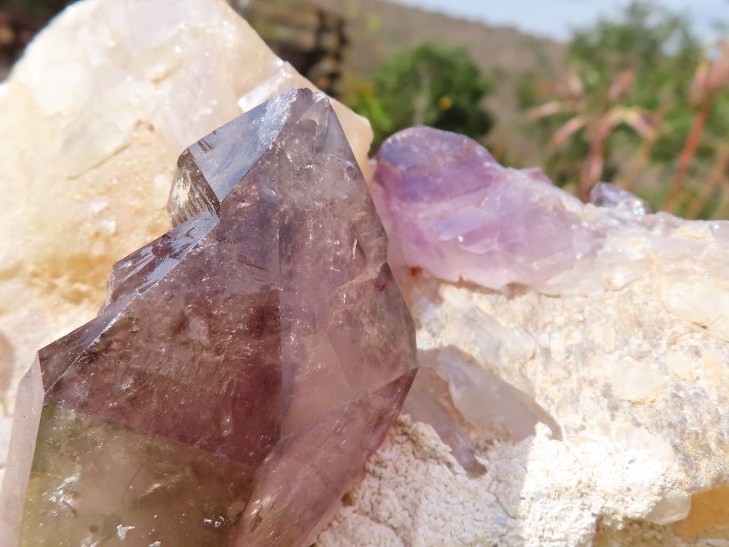 Natural Amethyst Quartz Cluster from Namibia
