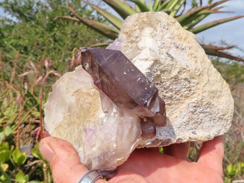 Natural Amethyst Quartz Cluster from Namibia