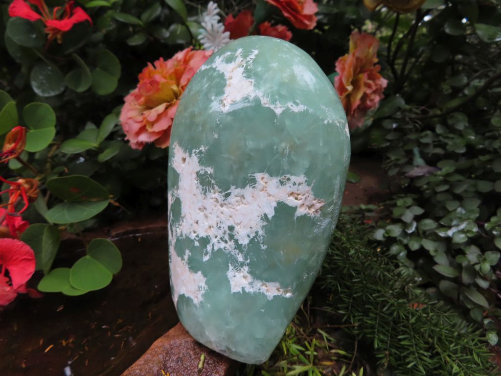 Polished Rare Prehnite Standing Freeform from Namibia - Extra Large