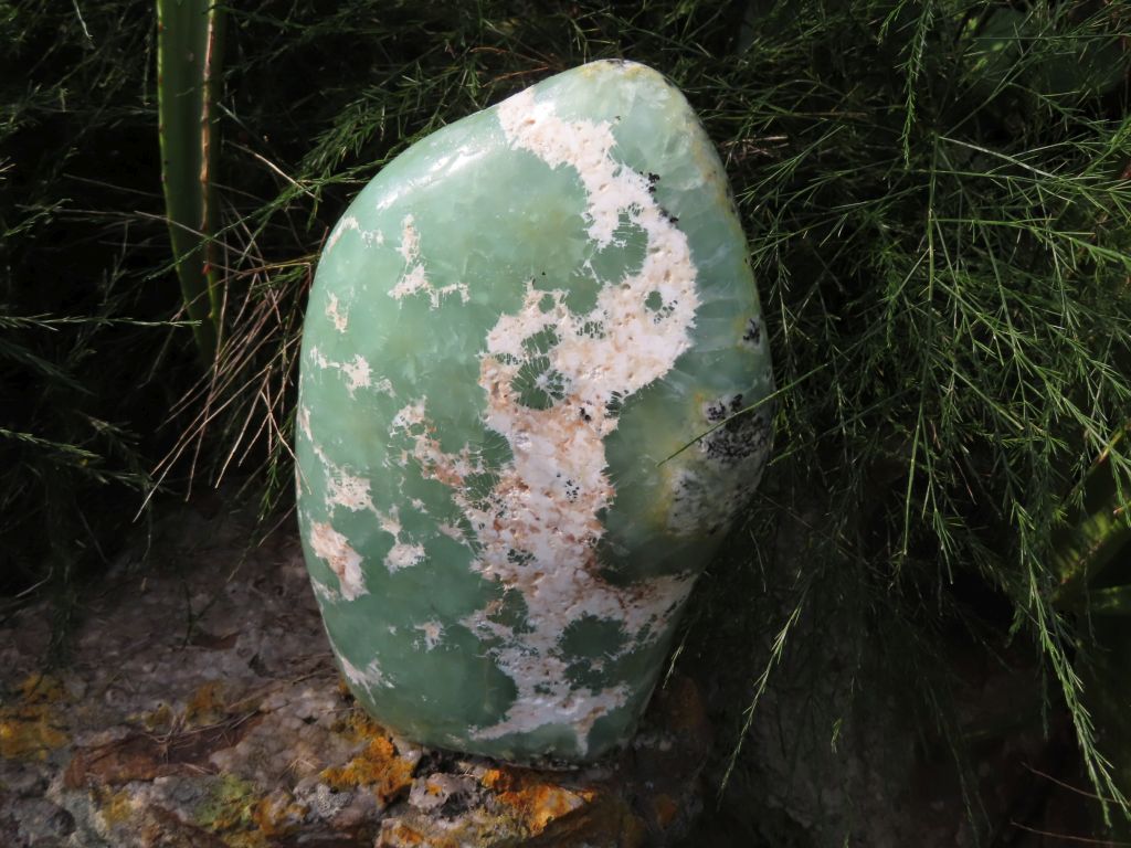 Polished Rare Prehnite Standing Freeform from Namibia - Extra Large