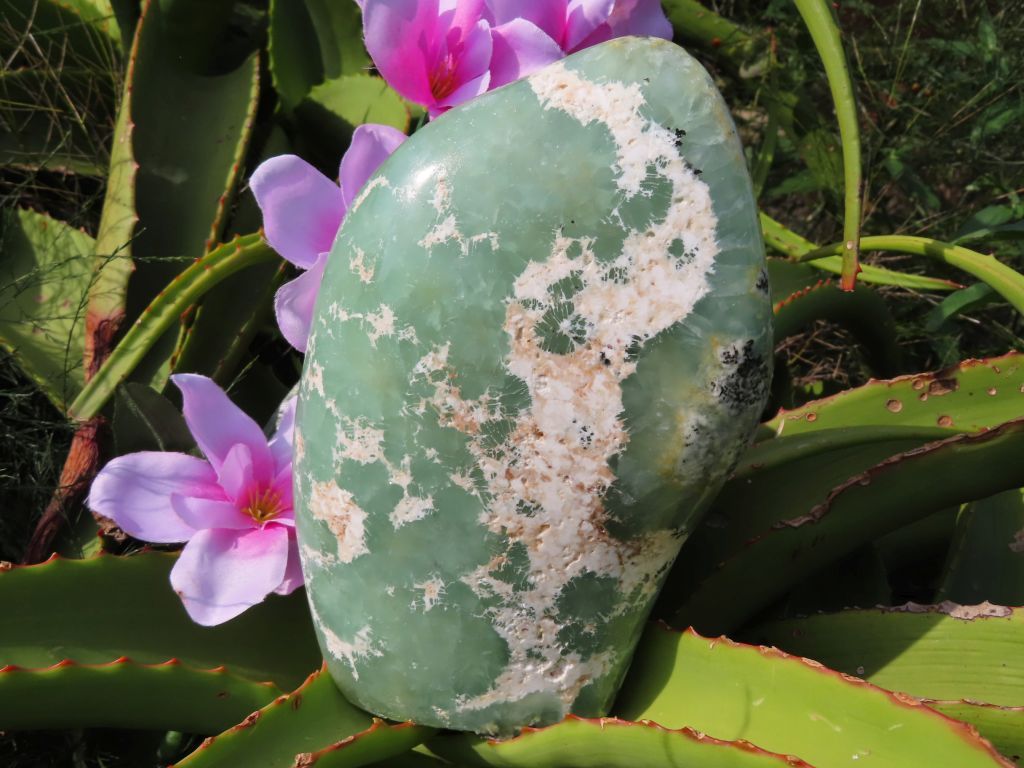 Polished Rare Prehnite Standing Freeform from Namibia - Extra Large