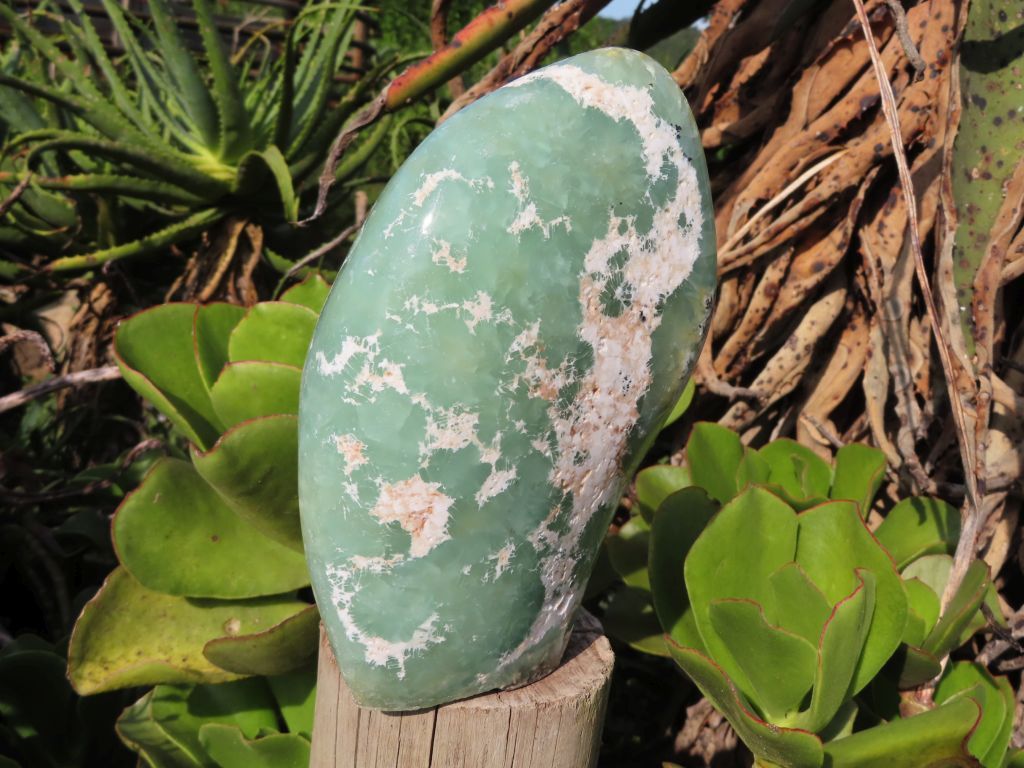 Polished Rare Prehnite Standing Freeform from Namibia - Extra Large