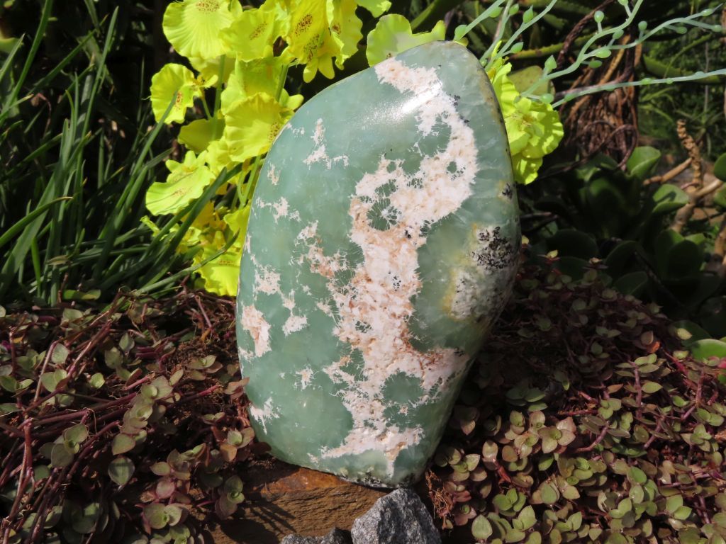 Polished Rare Prehnite Standing Freeform from Namibia - Extra Large