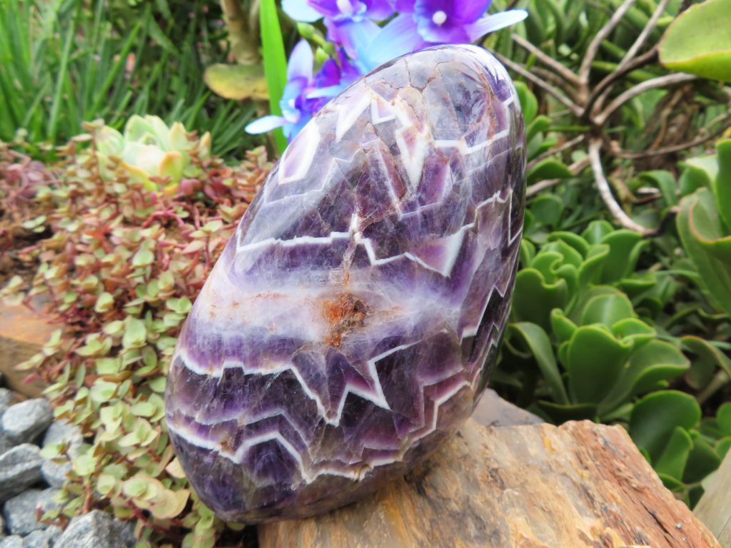 Polished Amethyst Quartz Crystal Freeform from Zambia