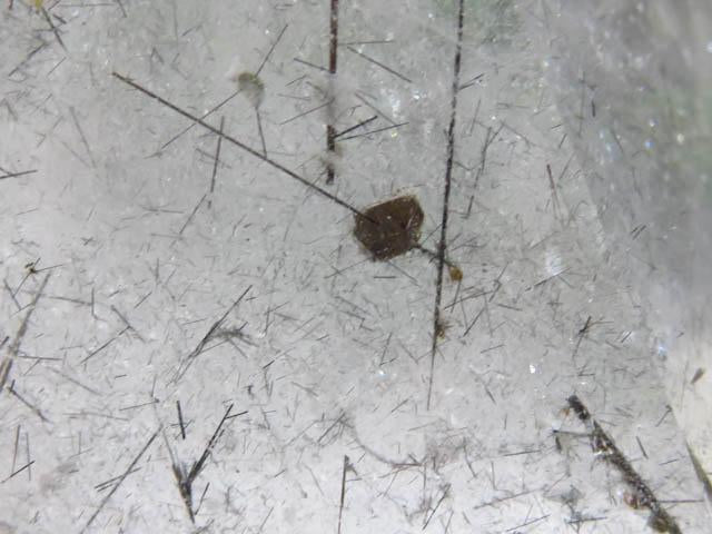 Polished Tourmaline Quartz Point x 1 from Madagascar