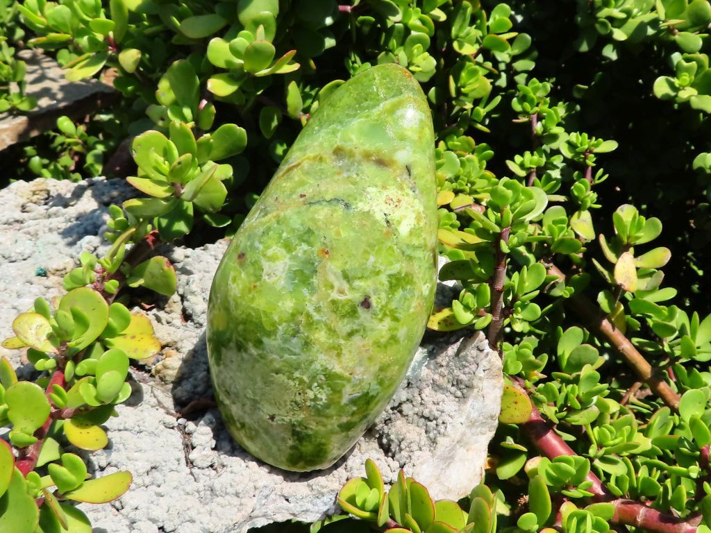 Polished Green Opal Freeform from Madagascar - Extra Large