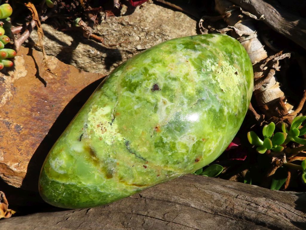 Polished Green Opal Freeform from Madagascar - Extra Large