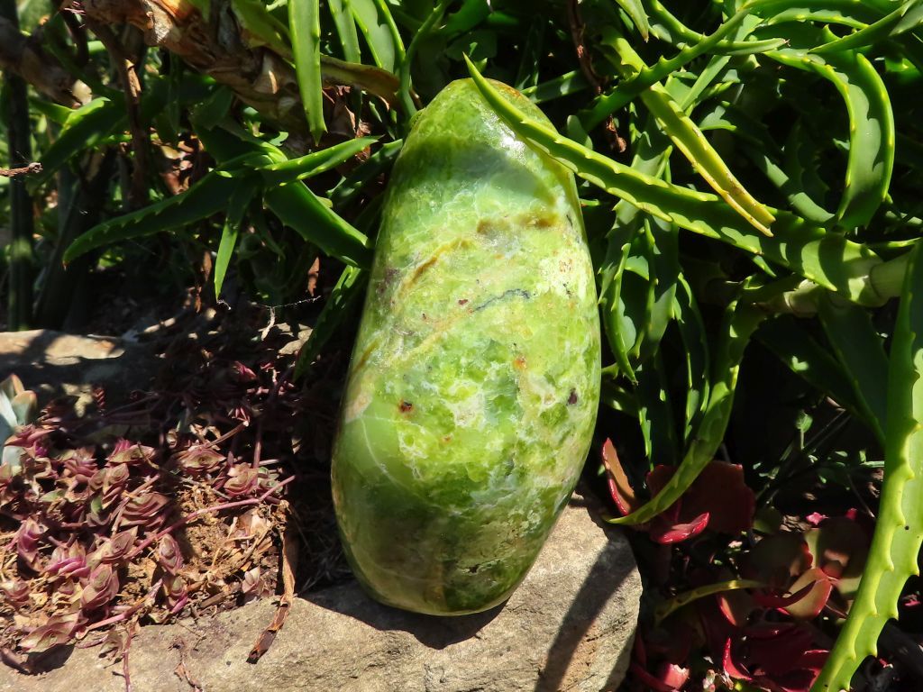 Polished Green Opal Freeform from Madagascar - Extra Large