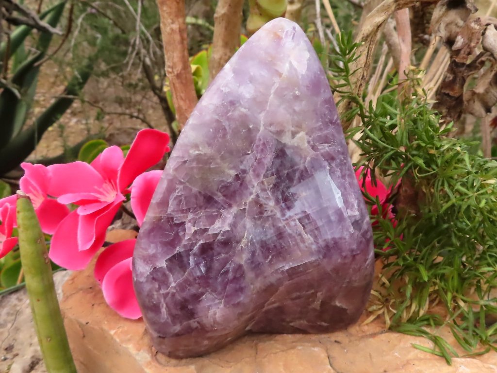 Polished Purple Anhydrite Freeform from Madagascar - Extra Large