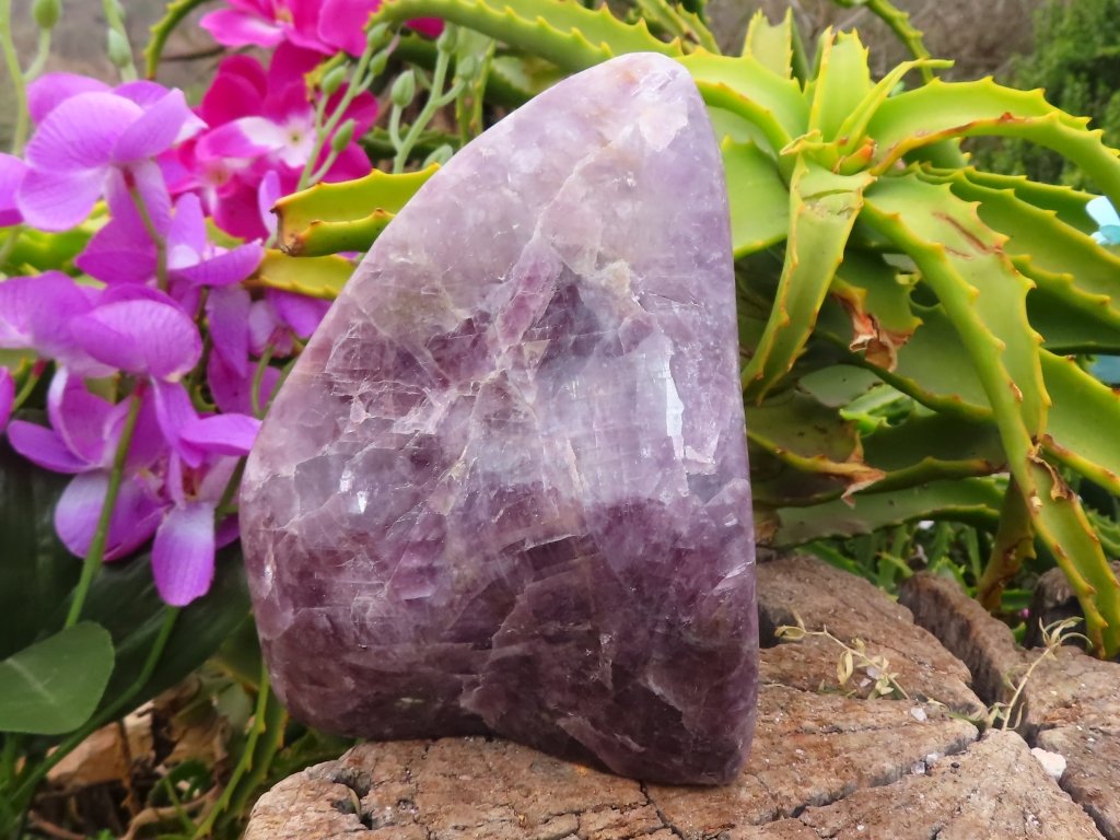 Polished Purple Anhydrite Freeform from Madagascar - Extra Large