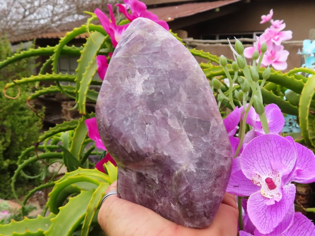 Polished Purple Anhydrite Freeform from Madagascar - Extra Large