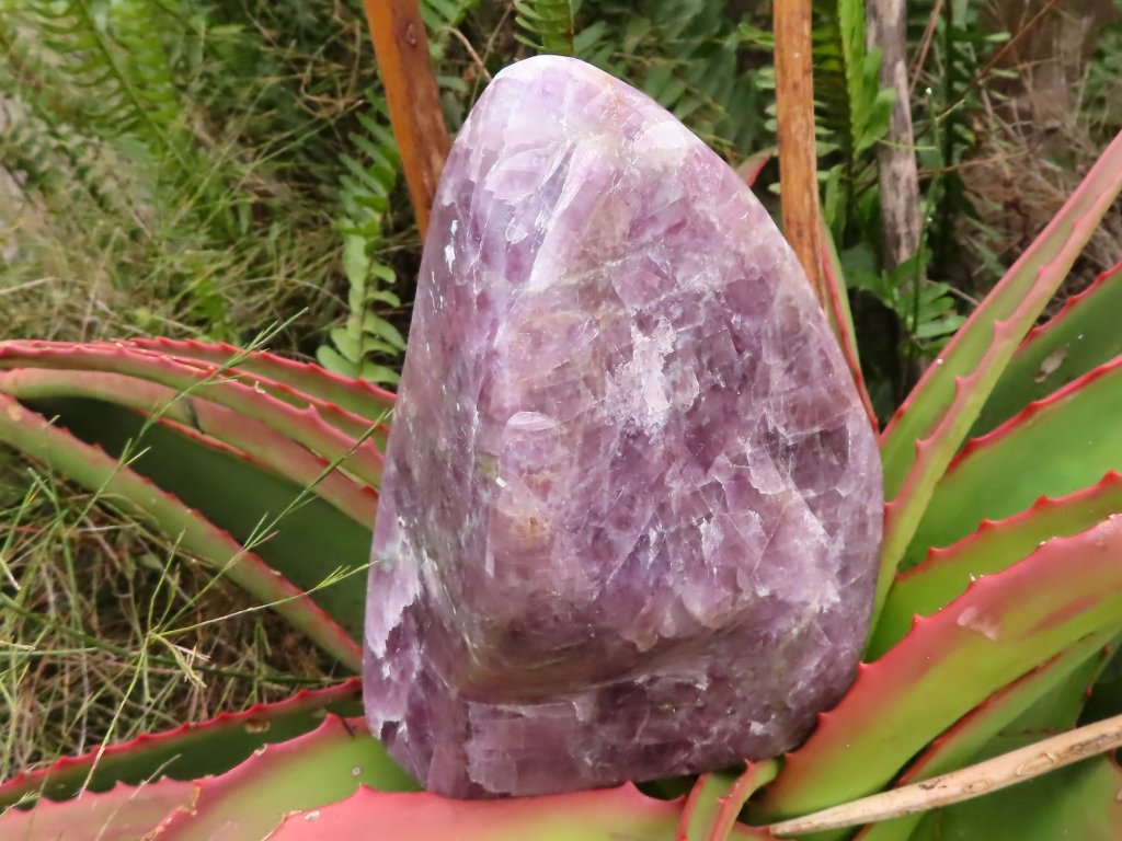 Polished Purple Anhydrite Freeform from Madagascar - Extra Large