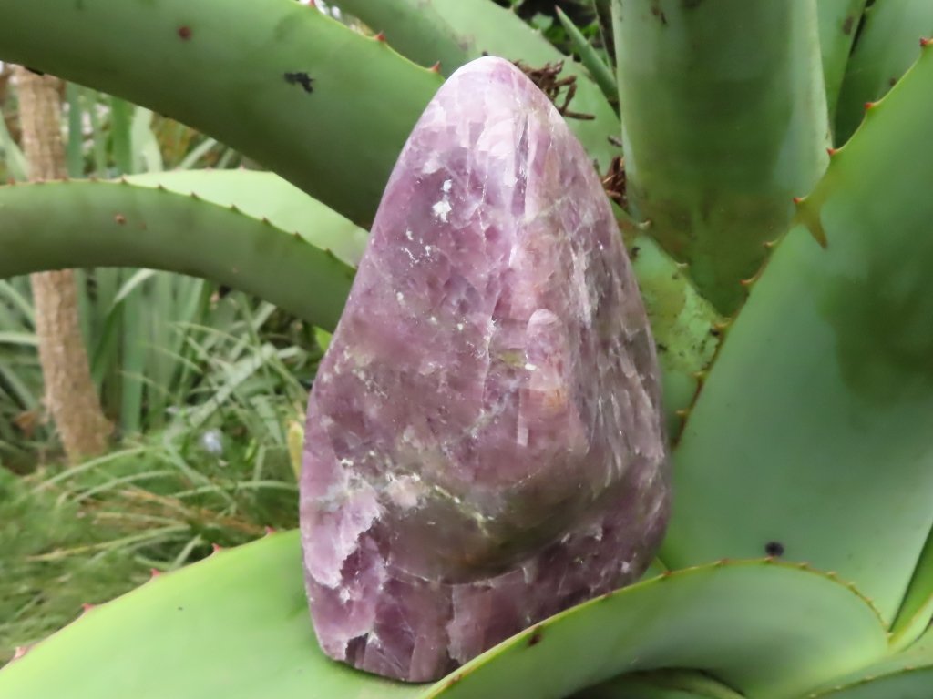 Polished Purple Anhydrite Freeform from Madagascar - Extra Large