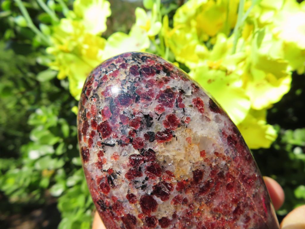 Polished Rare Garnet Standing Freeforms x 3 from Madagascar