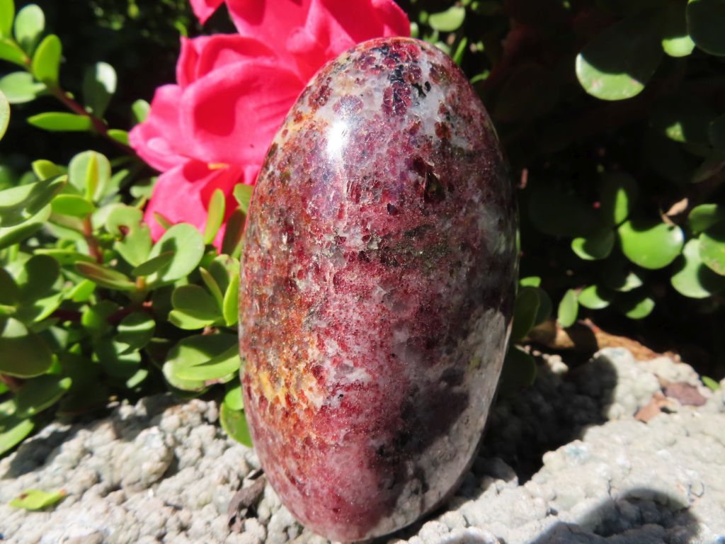 Polished Rare Garnet Standing Freeforms x 3 from Madagascar
