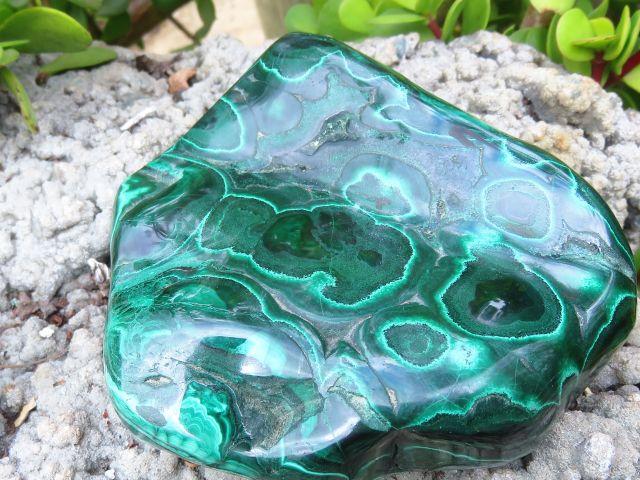 Polished Malachite Specimens x 3 from Congo