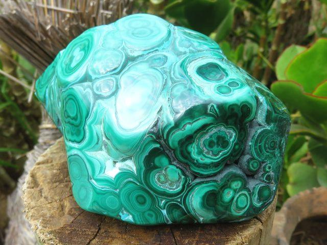 Polished Malachite Specimens x 3 from Congo