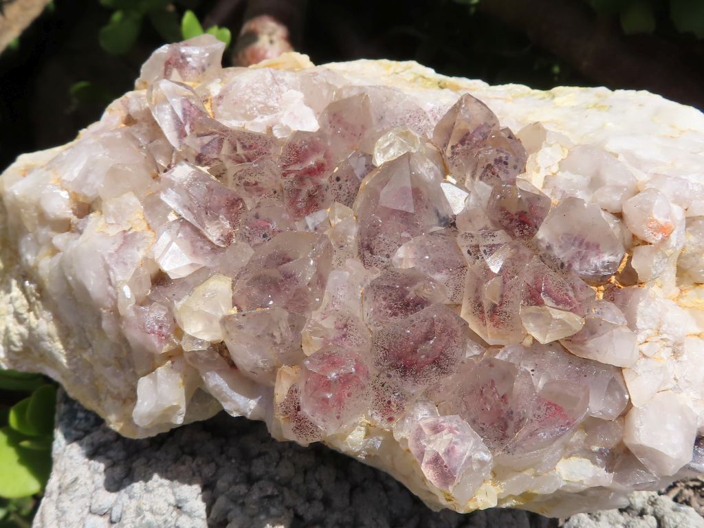 Phantom Quartz Cluster with Hematite from Congo
