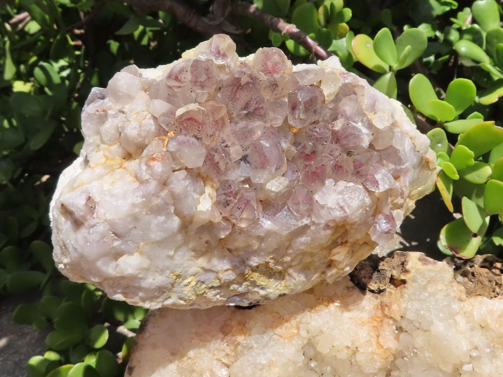 Phantom Quartz Cluster with Hematite from Congo