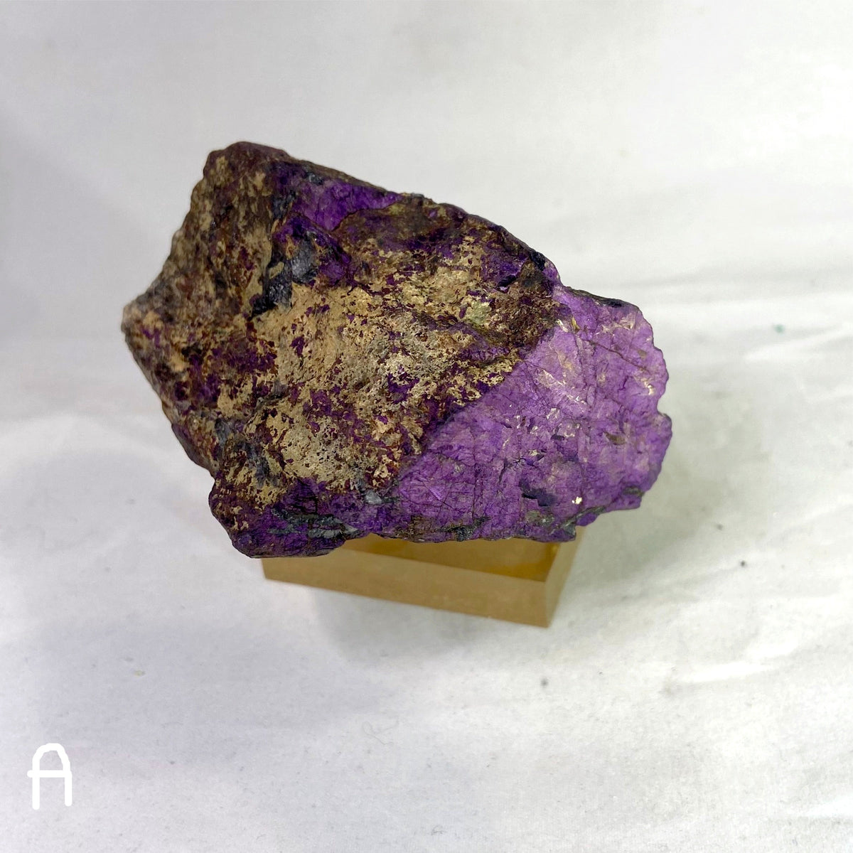 Natural Specimens - Choose Your Own