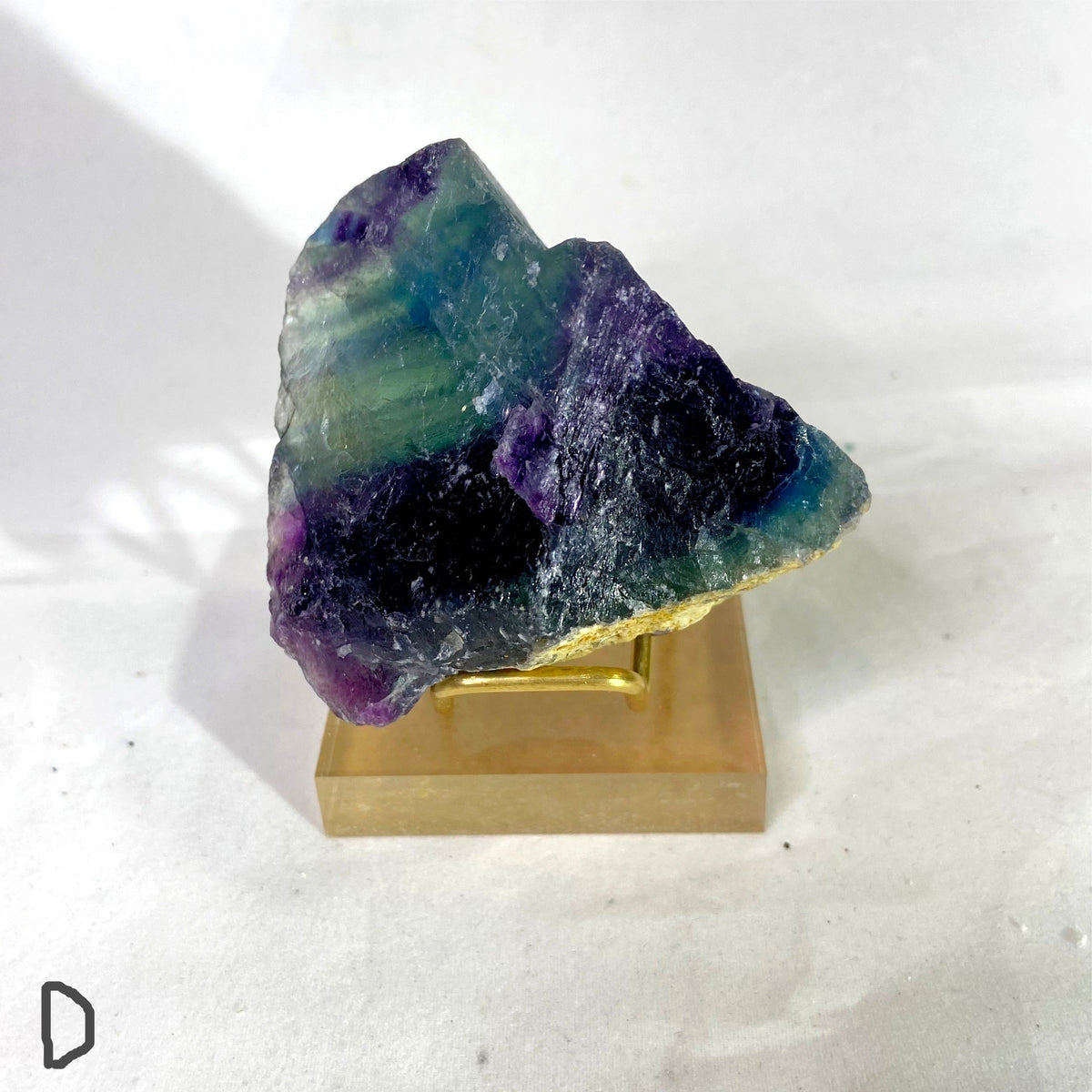 Natural Specimens - Choose Your Own