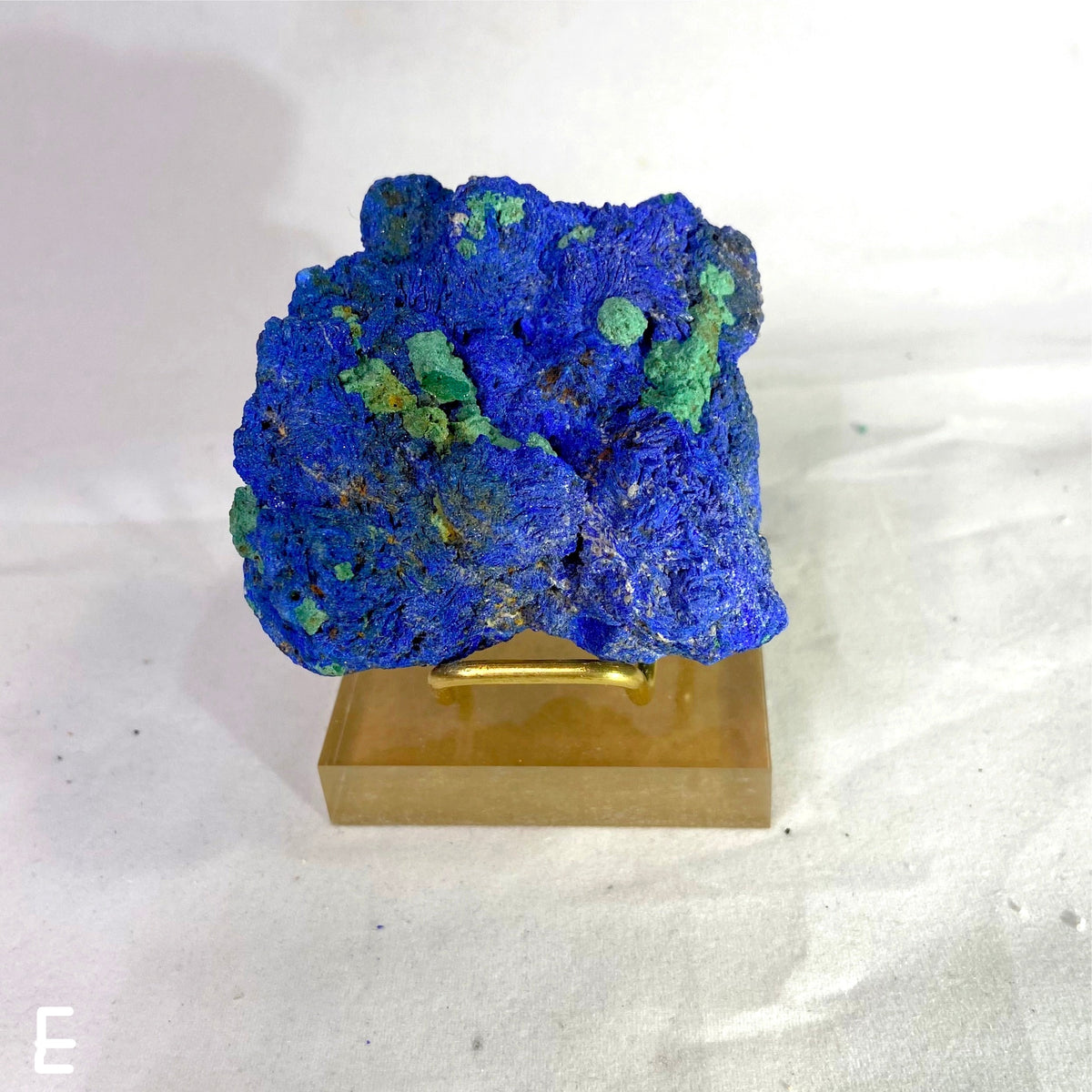 Natural Specimens - Choose Your Own